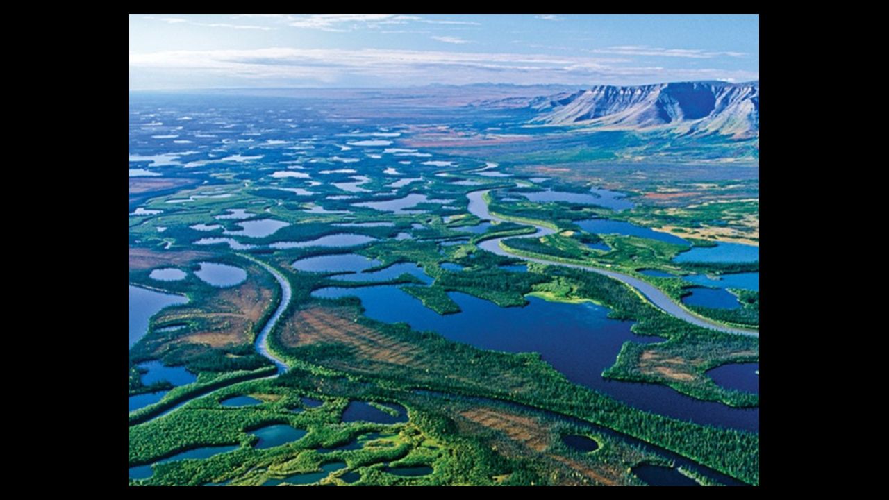 Река бассейна северного ледовитого океана северной америки