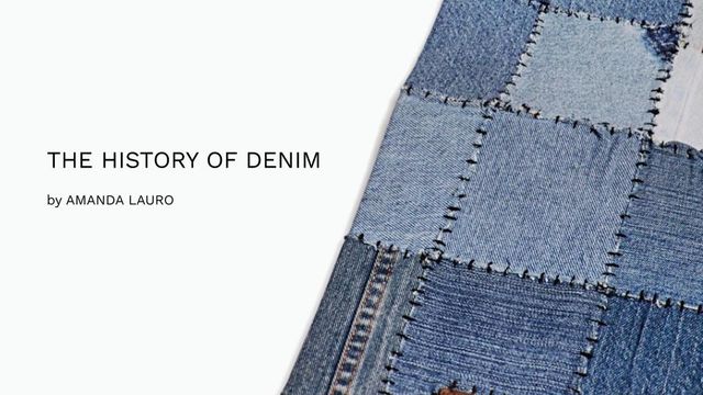 Amanda Lauro - History of Denim presentation main image